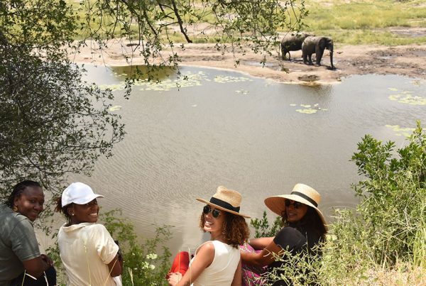 Four women sitting on the banks of a dam where elephants are drinking in the background.